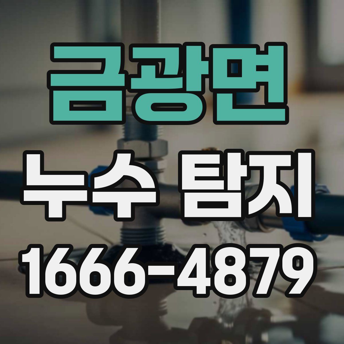 금광면 누수 탐지