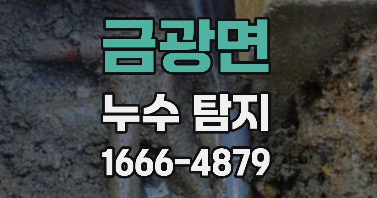 금광면 누수 탐지