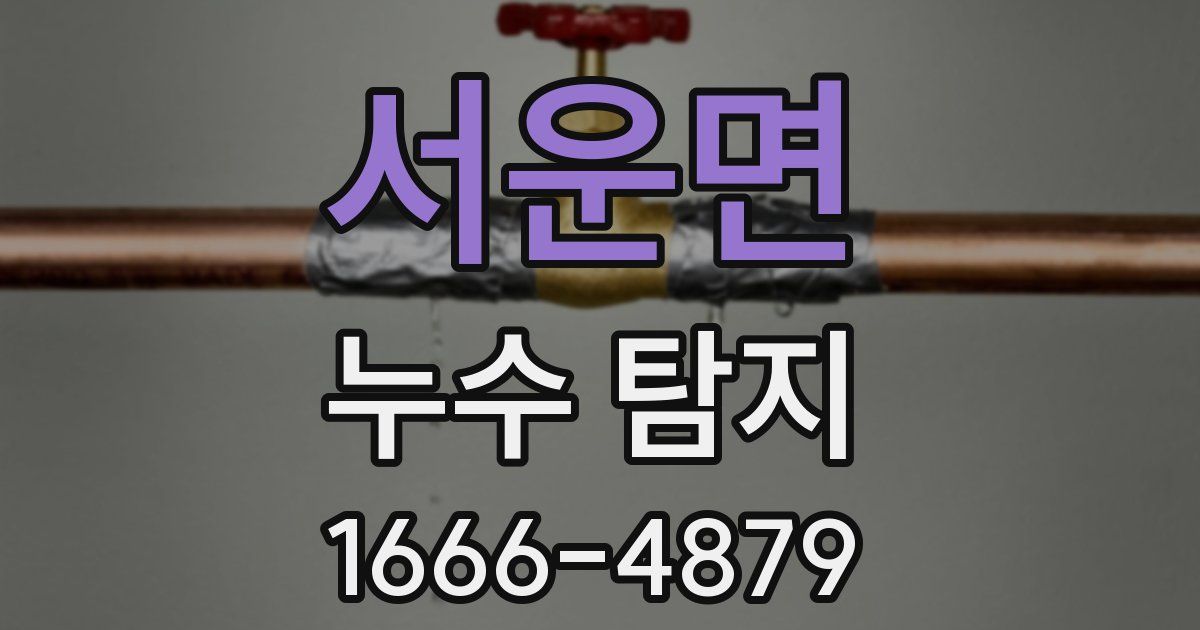 서운면 누수 탐지