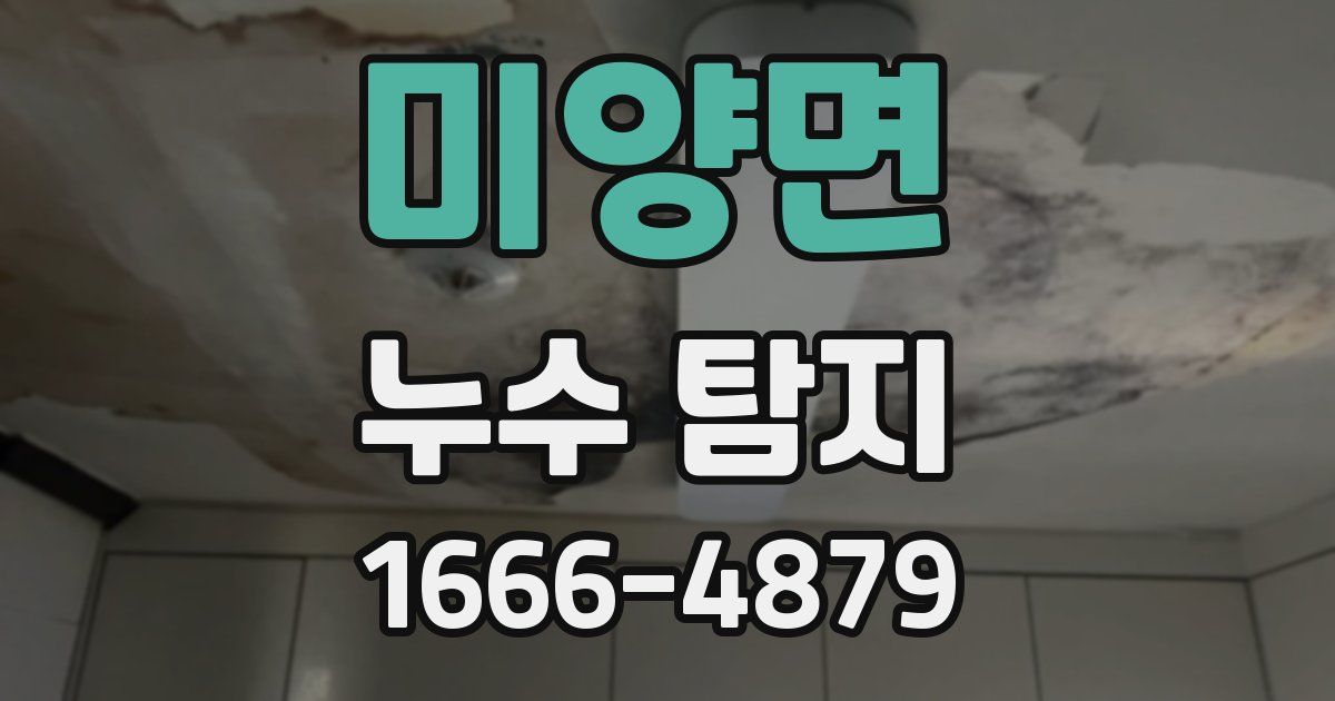 미양면 누수 탐지