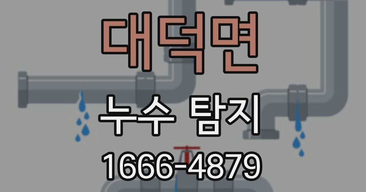 대덕면 누수 탐지