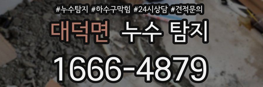 대덕면 누수 탐지