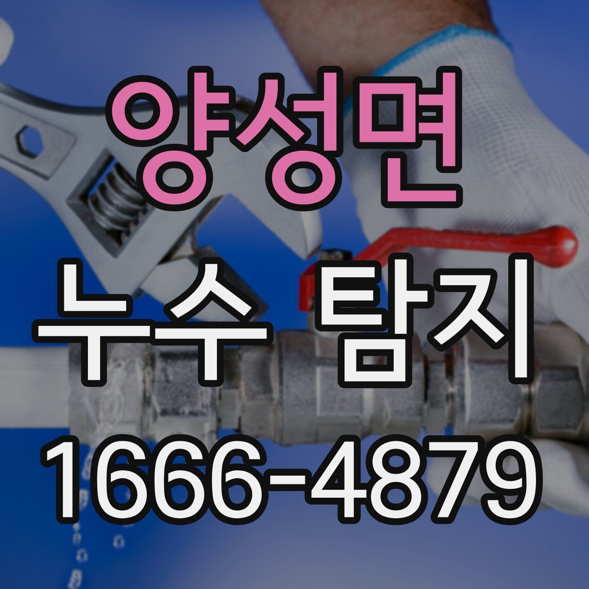 양성면 누수 탐지