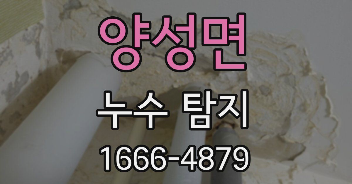 양성면 누수 탐지