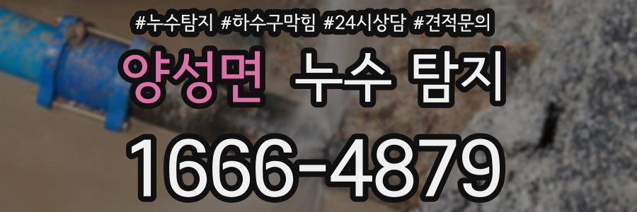 양성면 누수 탐지