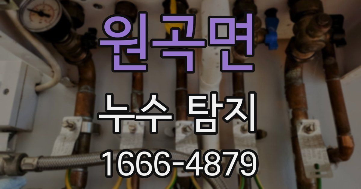 원곡면 누수 탐지