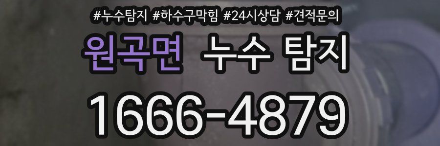 원곡면 누수 탐지