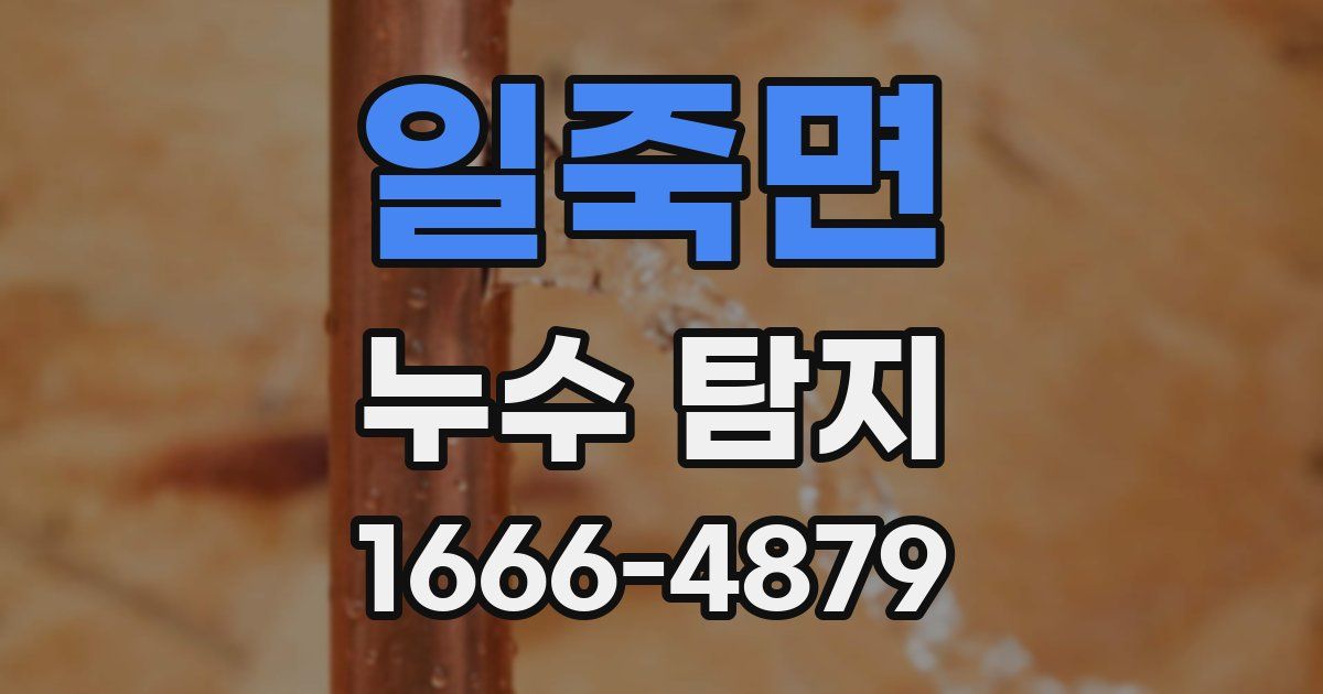 일죽면 누수 탐지
