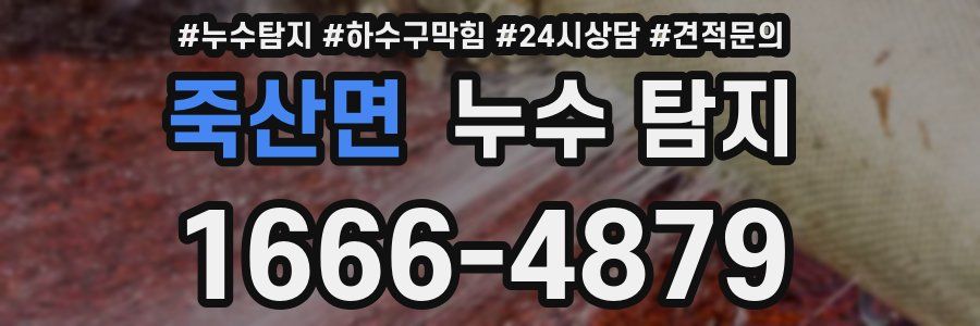 죽산면 누수 탐지
