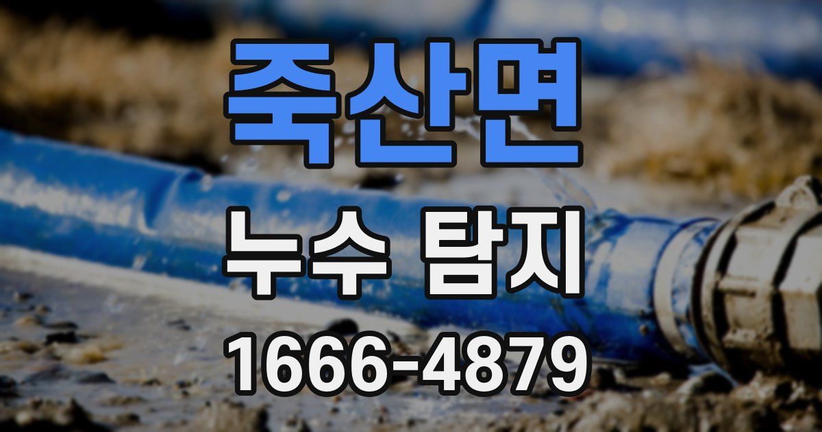 죽산면 누수 탐지