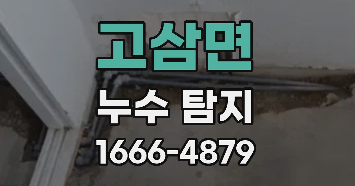 고삼면 누수 탐지
