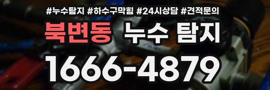 북변동 누수 탐지