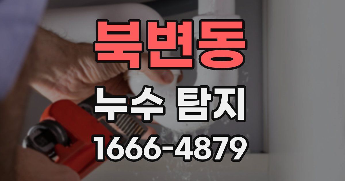 북변동 누수 탐지