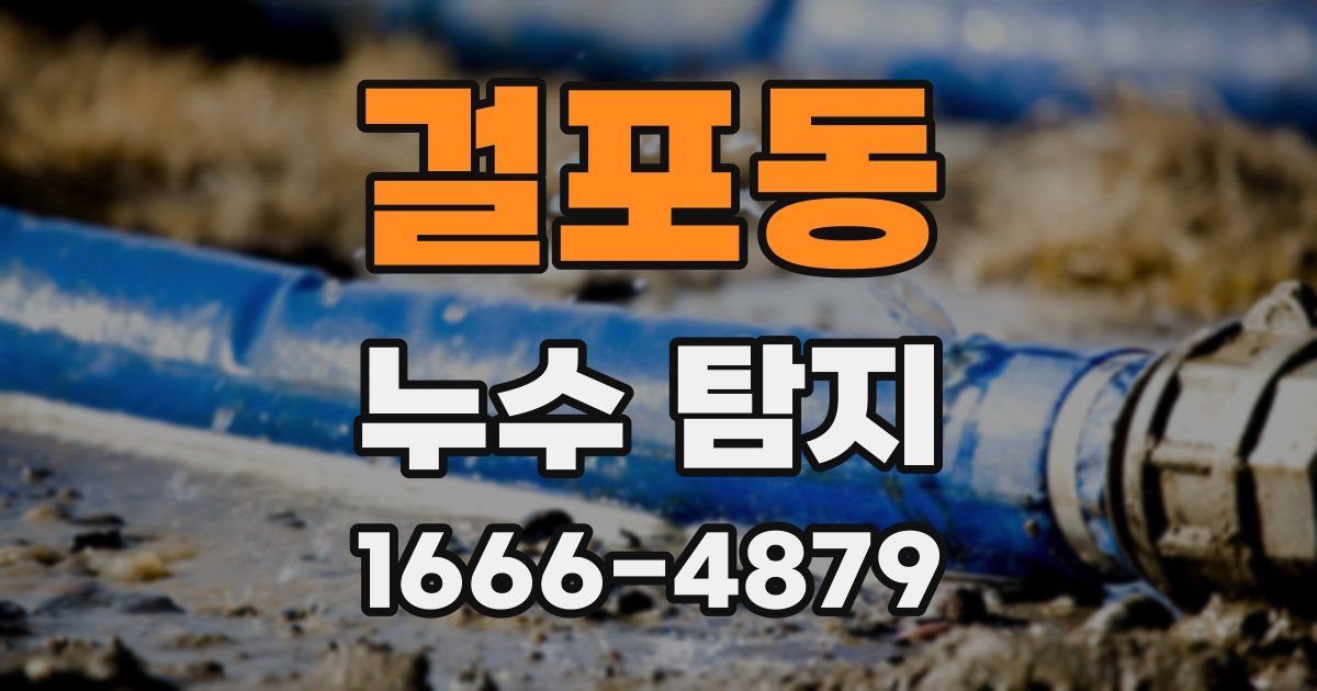 걸포동 누수 탐지