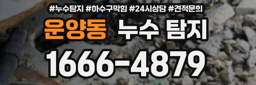 운양동 누수 탐지