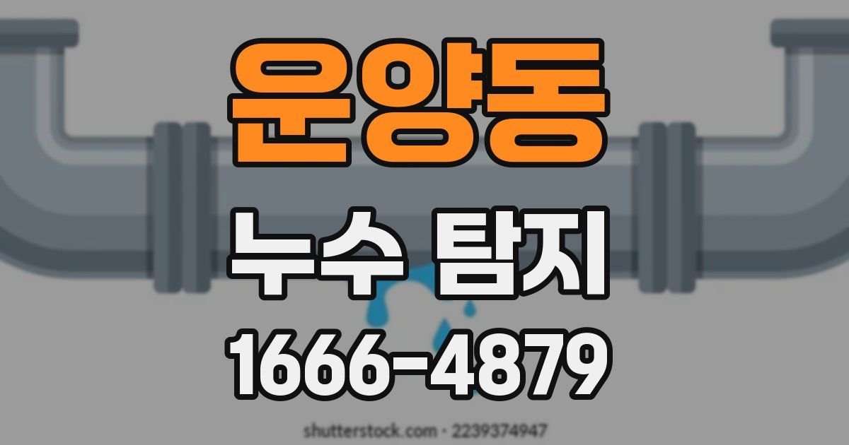 운양동 누수 탐지