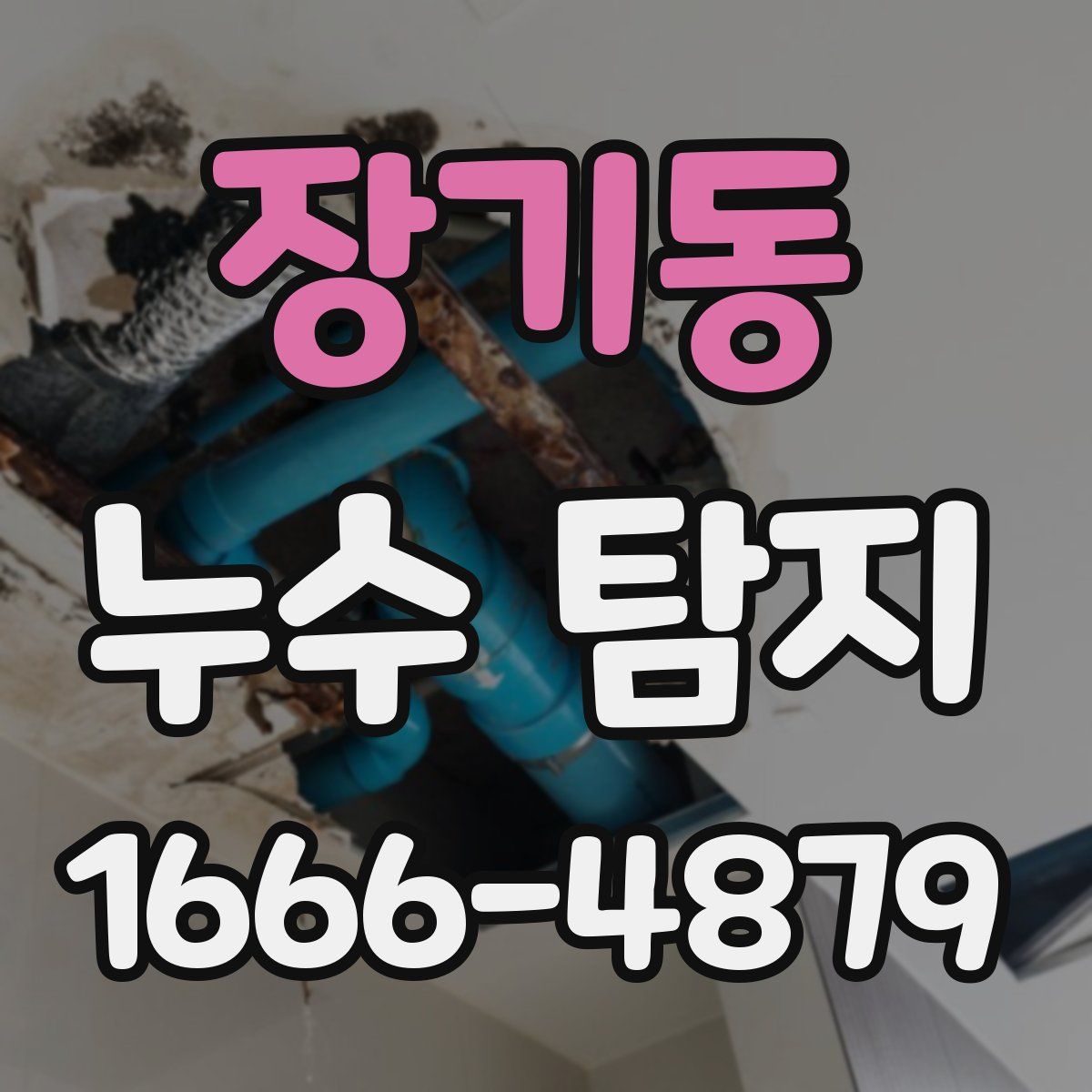 장기동 누수 탐지