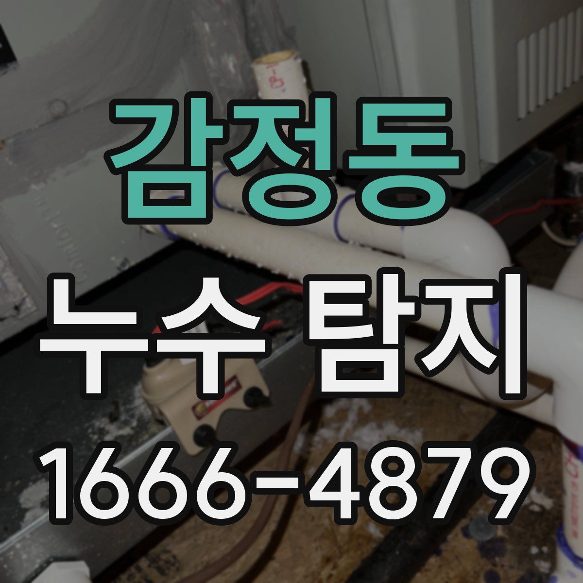 감정동 누수 탐지