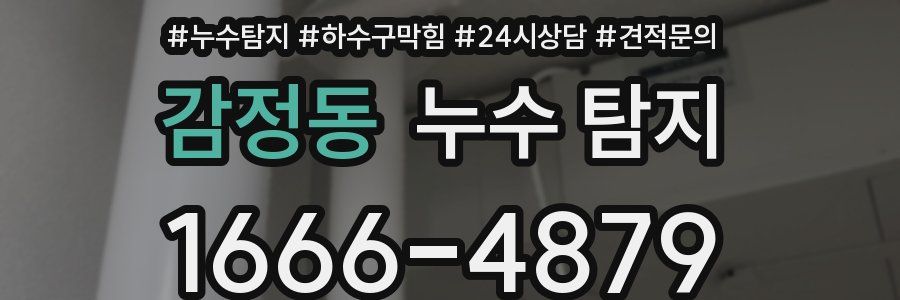 감정동 누수 탐지