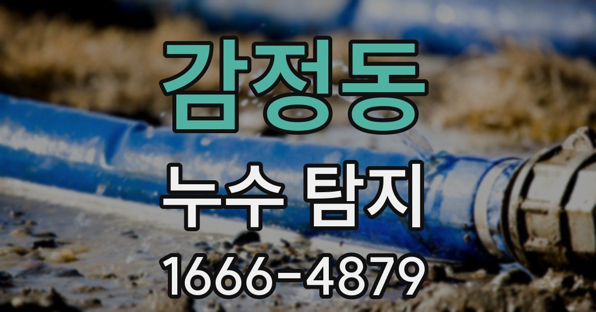 감정동 누수 탐지