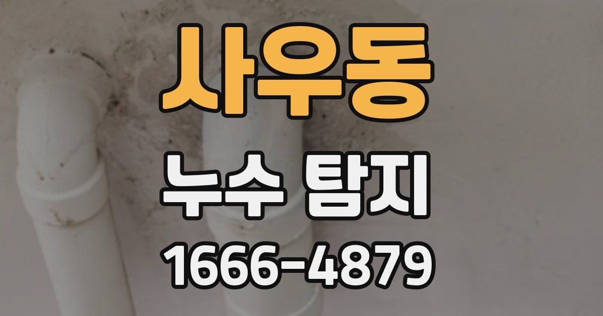 사우동 누수 탐지