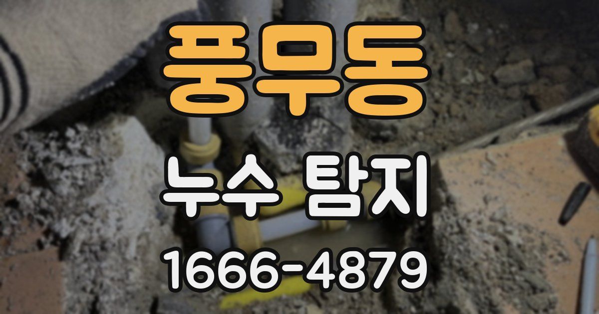 풍무동 누수 탐지