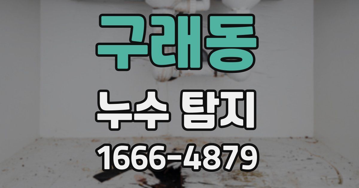 구래동 누수 탐지