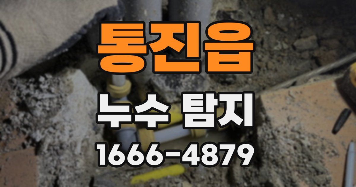 통진읍 누수 탐지