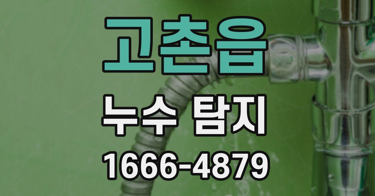 고촌읍 누수 탐지