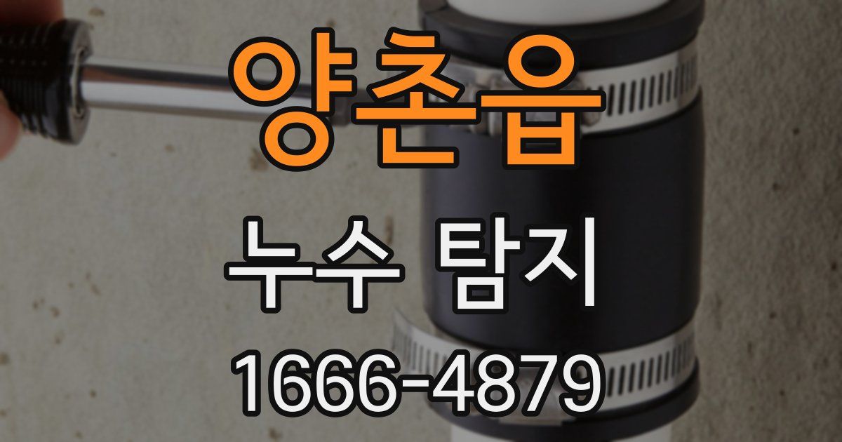 양촌읍 누수 탐지