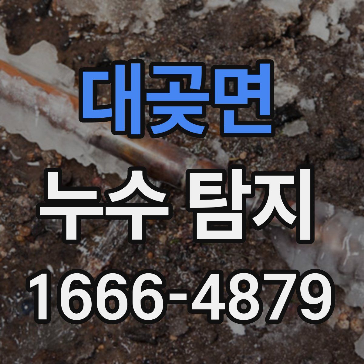 대곶면 누수 탐지