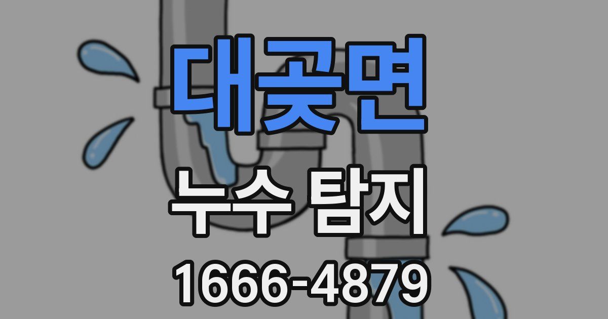 대곶면 누수 탐지