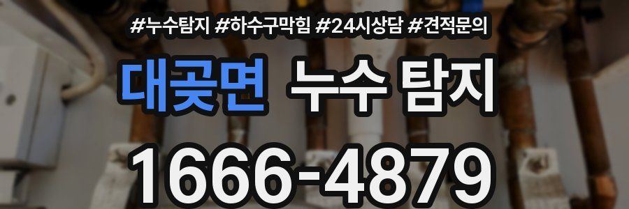 대곶면 누수 탐지