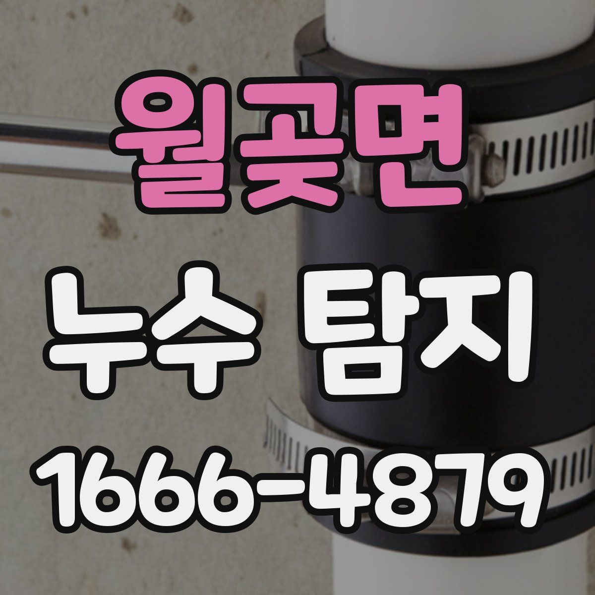 월곶면 누수 탐지