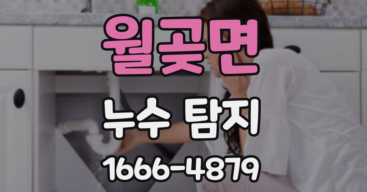 월곶면 누수 탐지