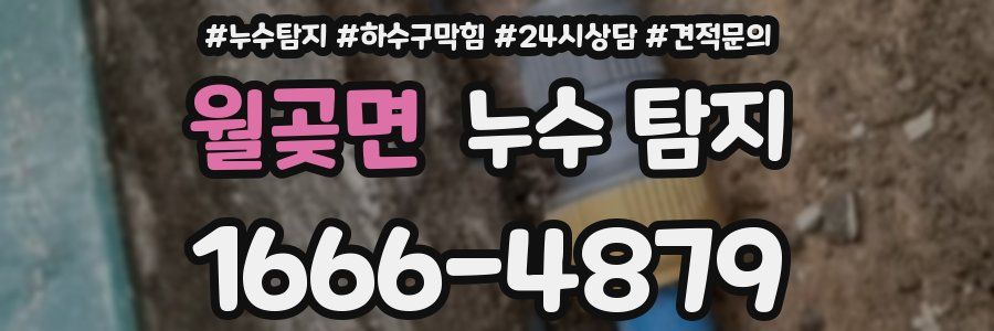 월곶면 누수 탐지