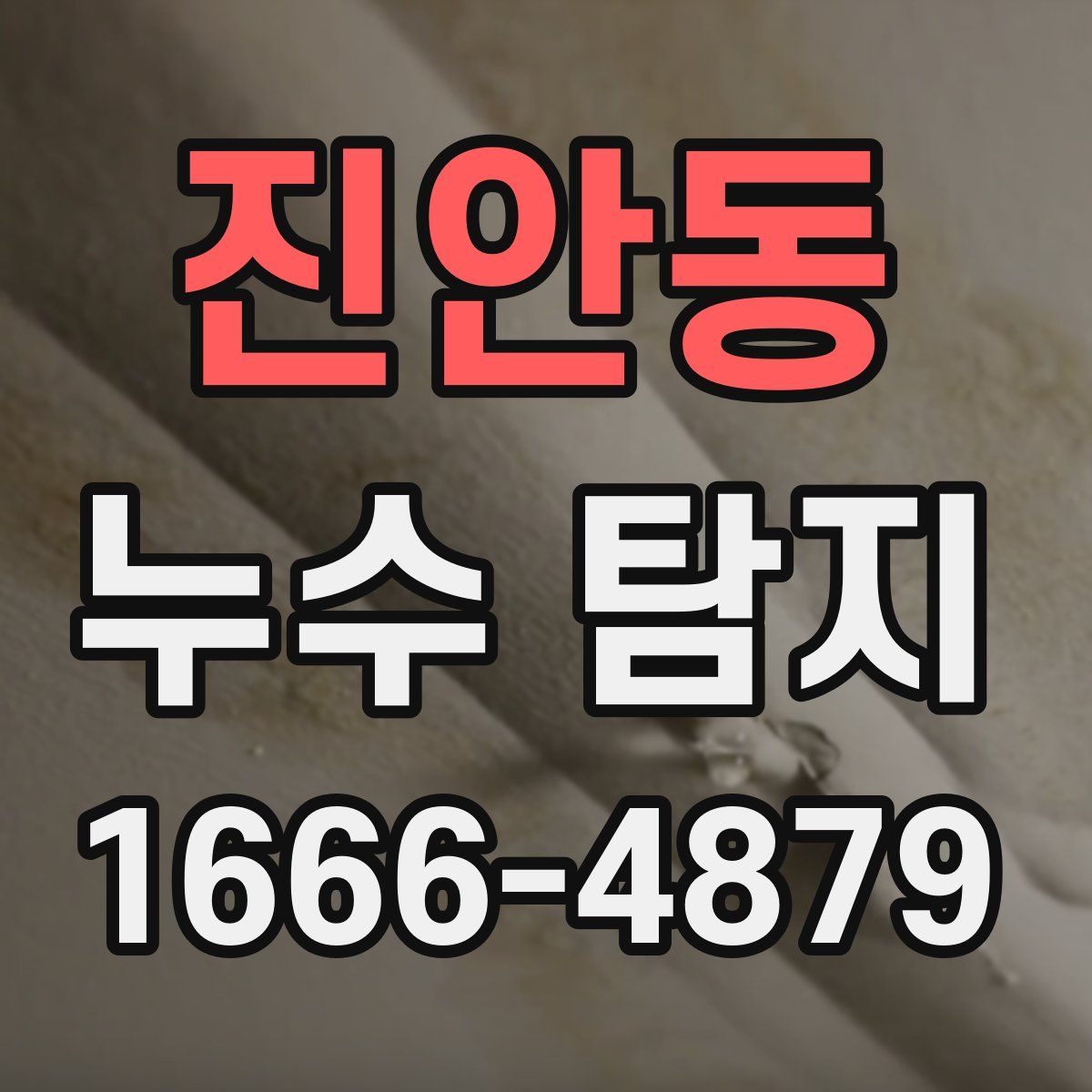 진안동 누수 탐지