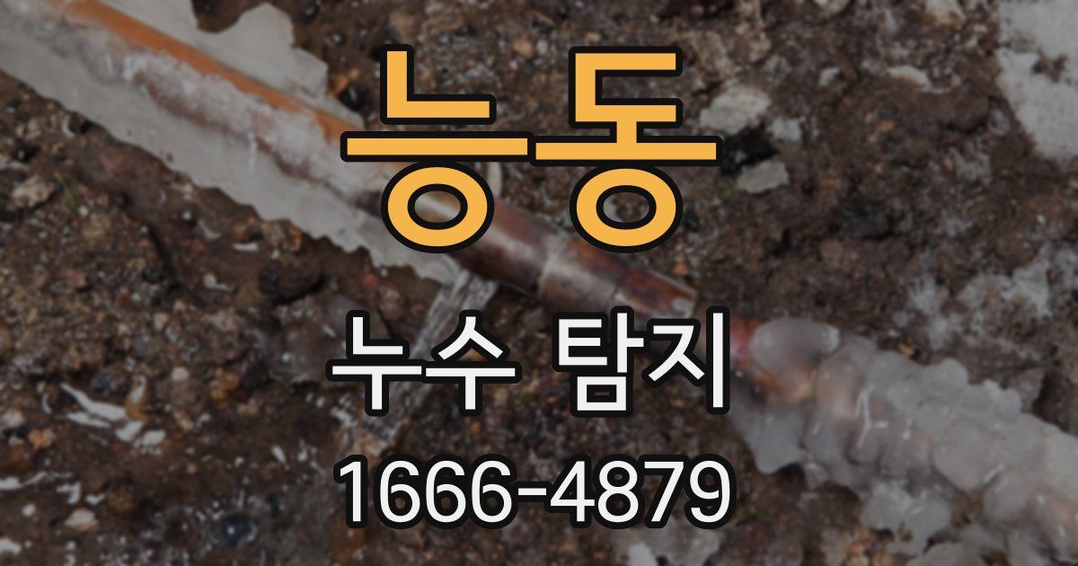 능동 누수 탐지