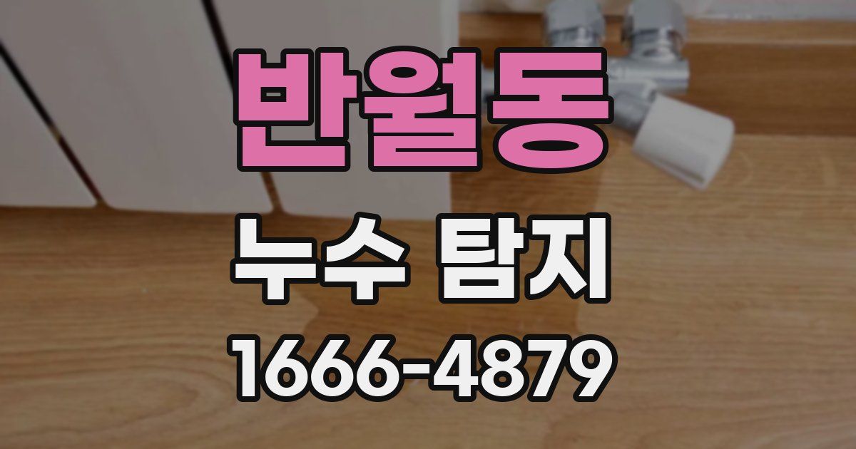 반월동 누수 탐지