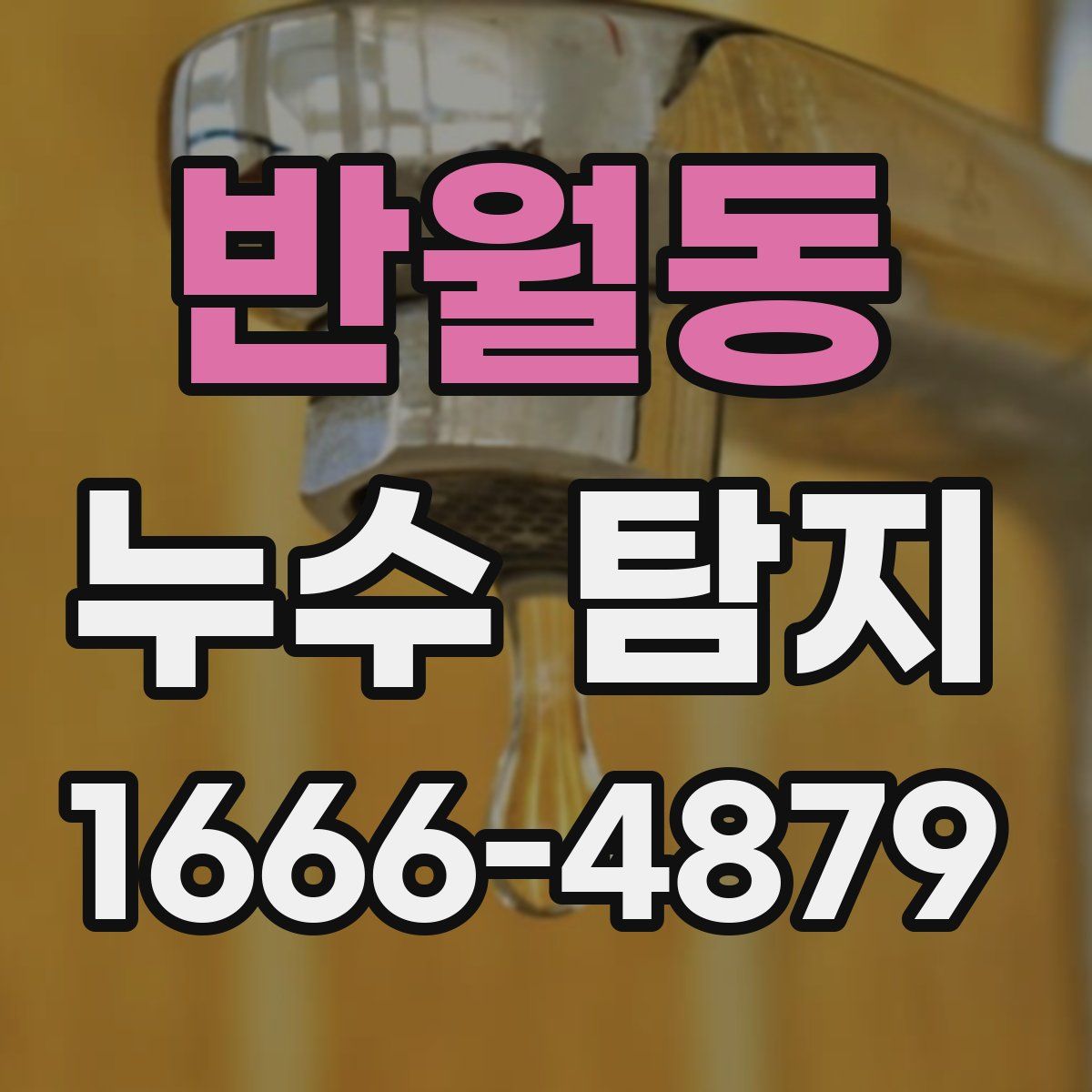 반월동 누수 탐지
