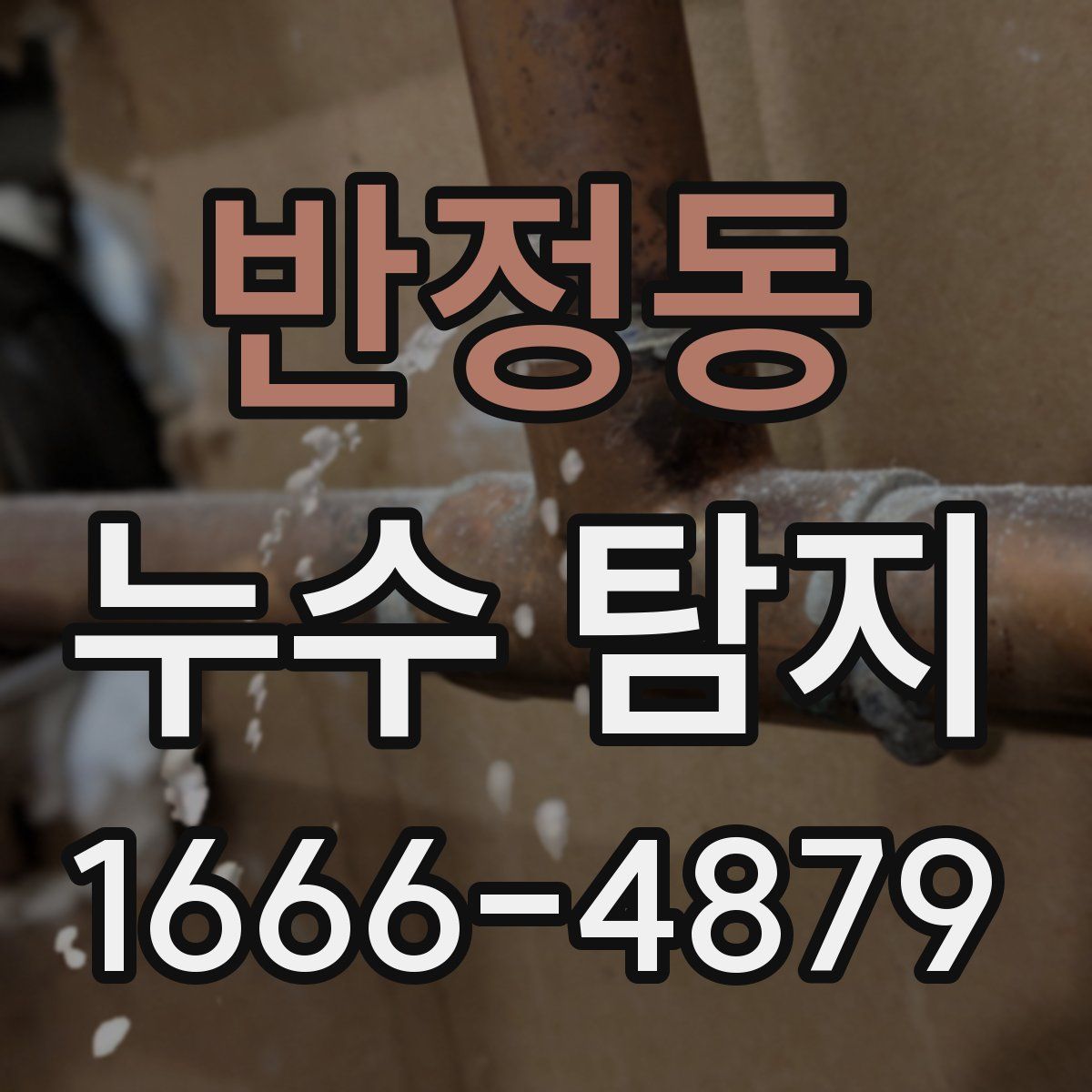 반정동 누수 탐지