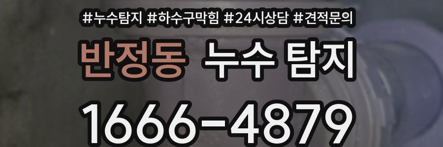 반정동 누수 탐지