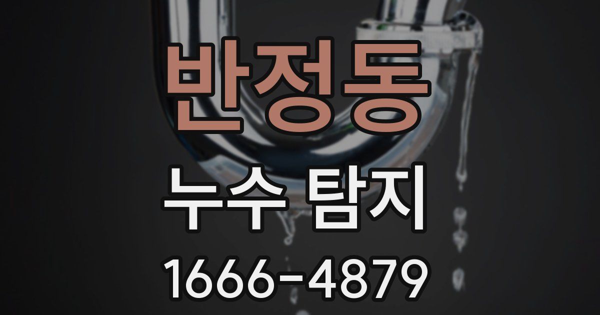 반정동 누수 탐지