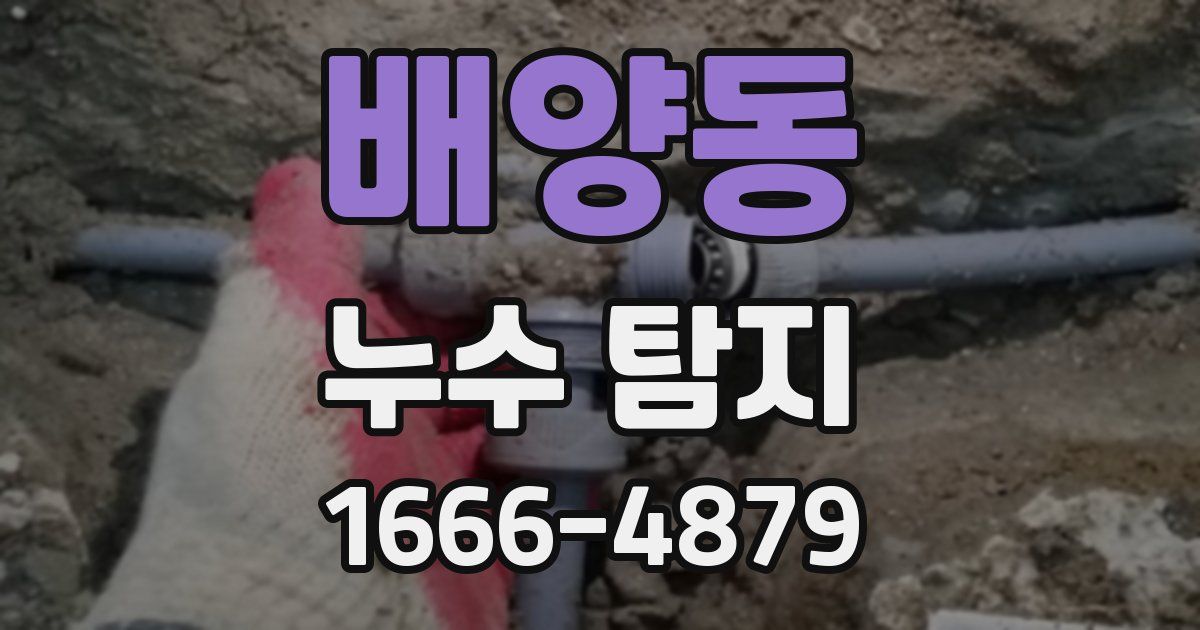배양동 누수 탐지