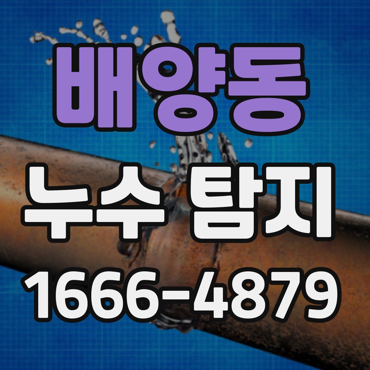 배양동 누수 탐지