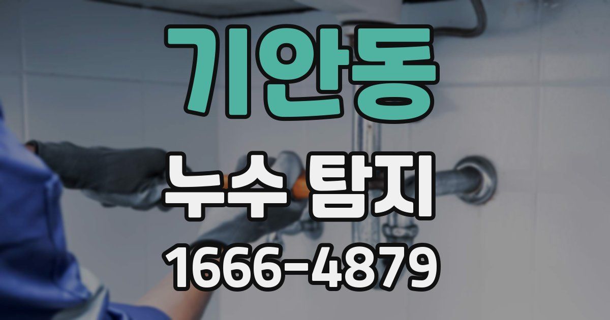 기안동 누수 탐지
