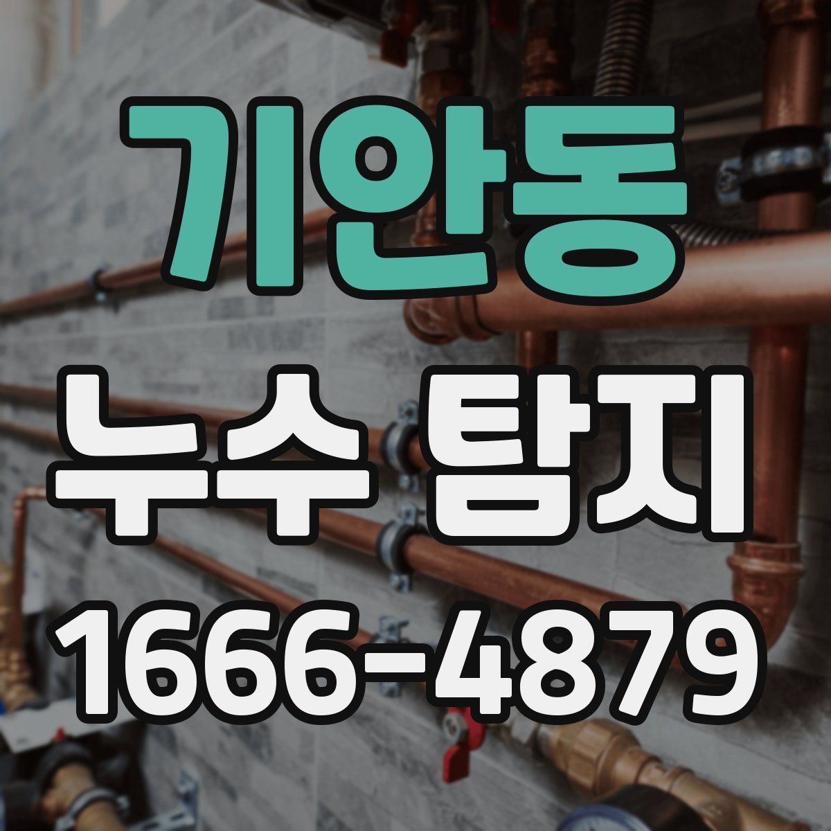 기안동 누수 탐지