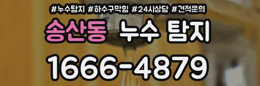송산동 누수 탐지