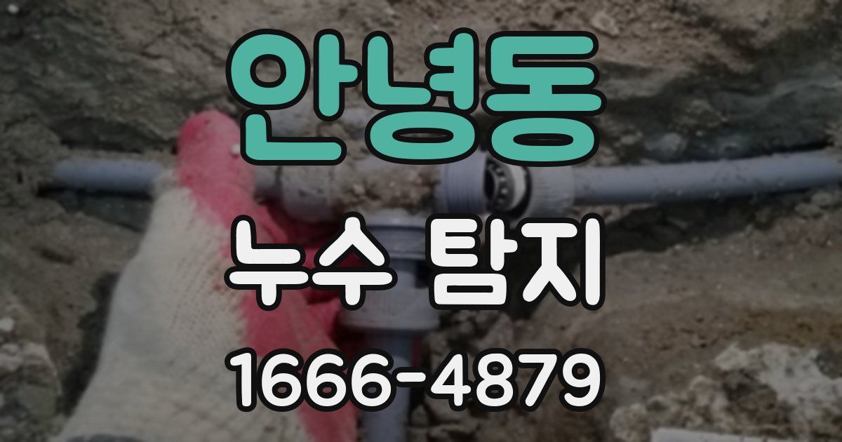 안녕동 누수 탐지
