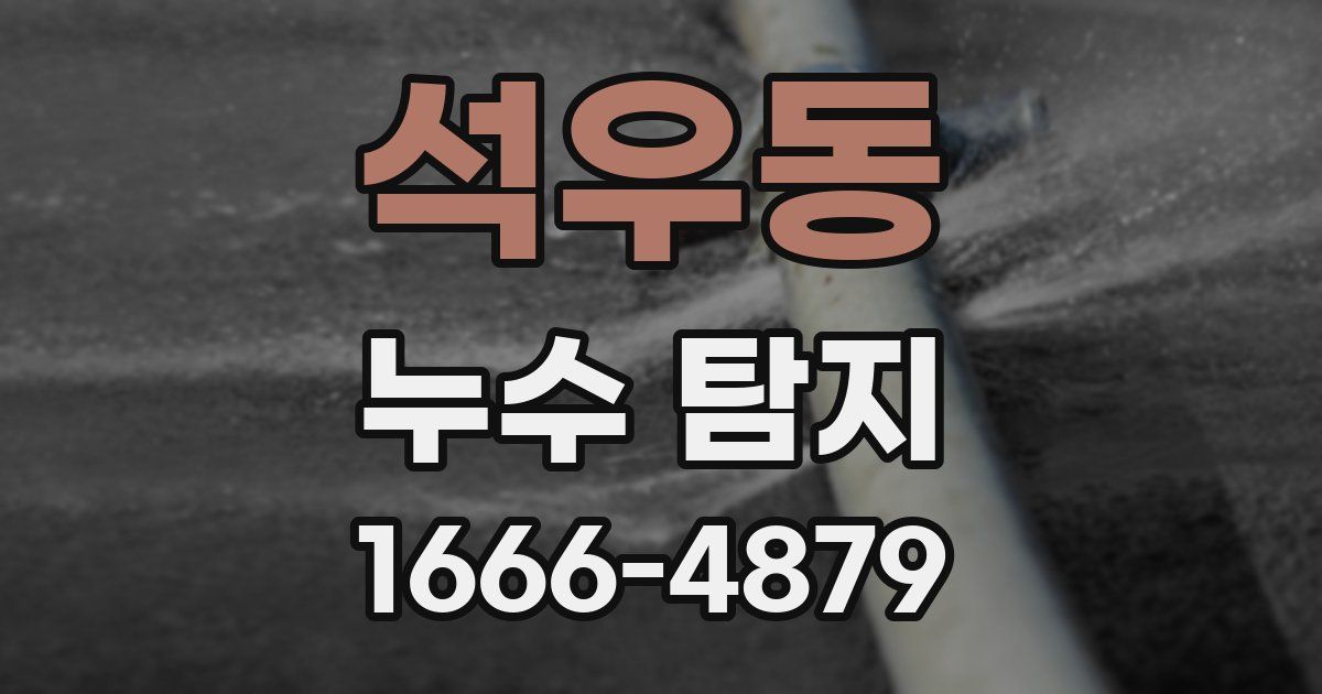 석우동 누수 탐지